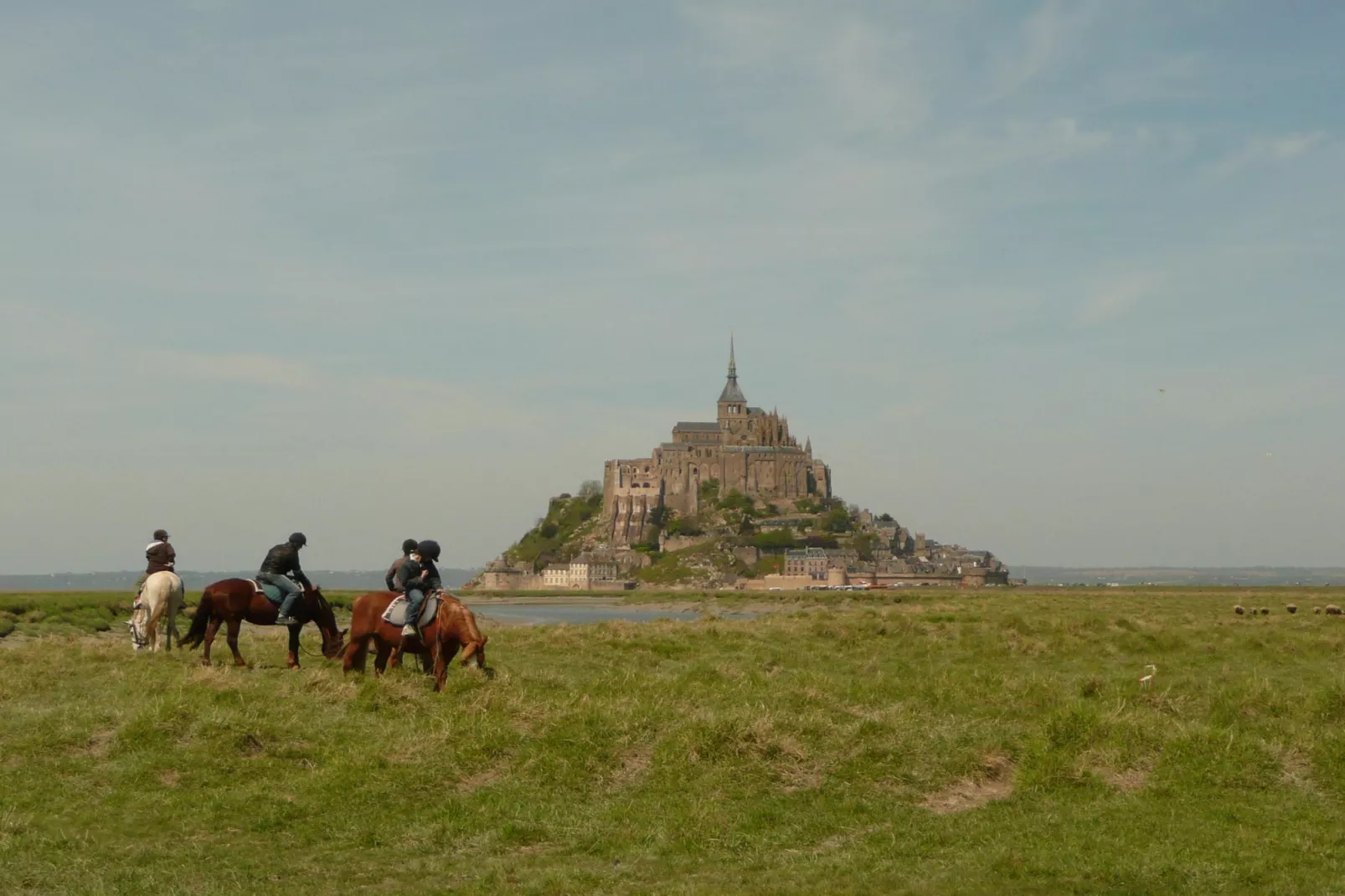 Maison de vacances - BRAINVILLE - Gebieden zomer 20km