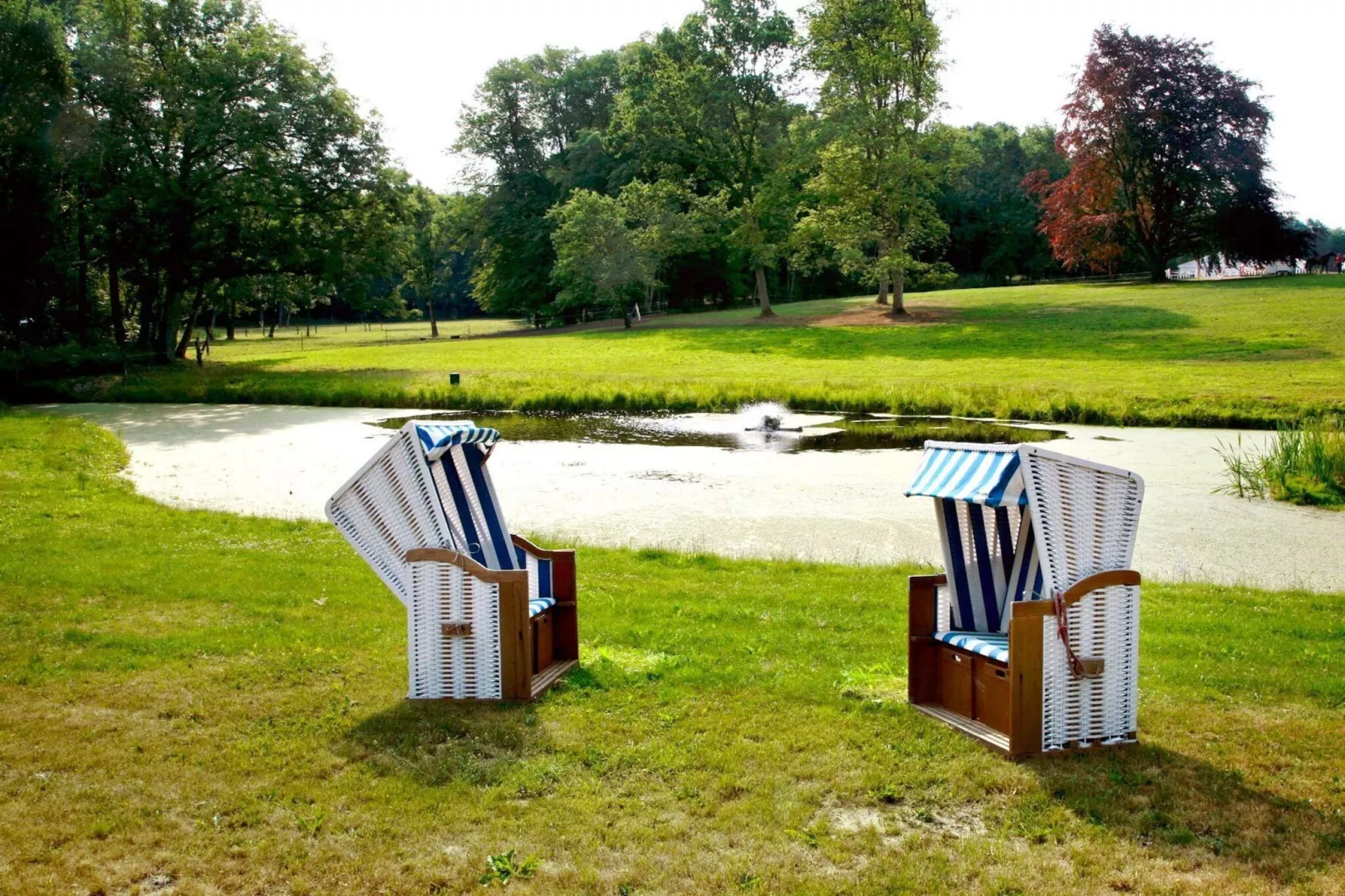 Haus Oliver 200 qm / 1-8 Personen - Tuinen zomer