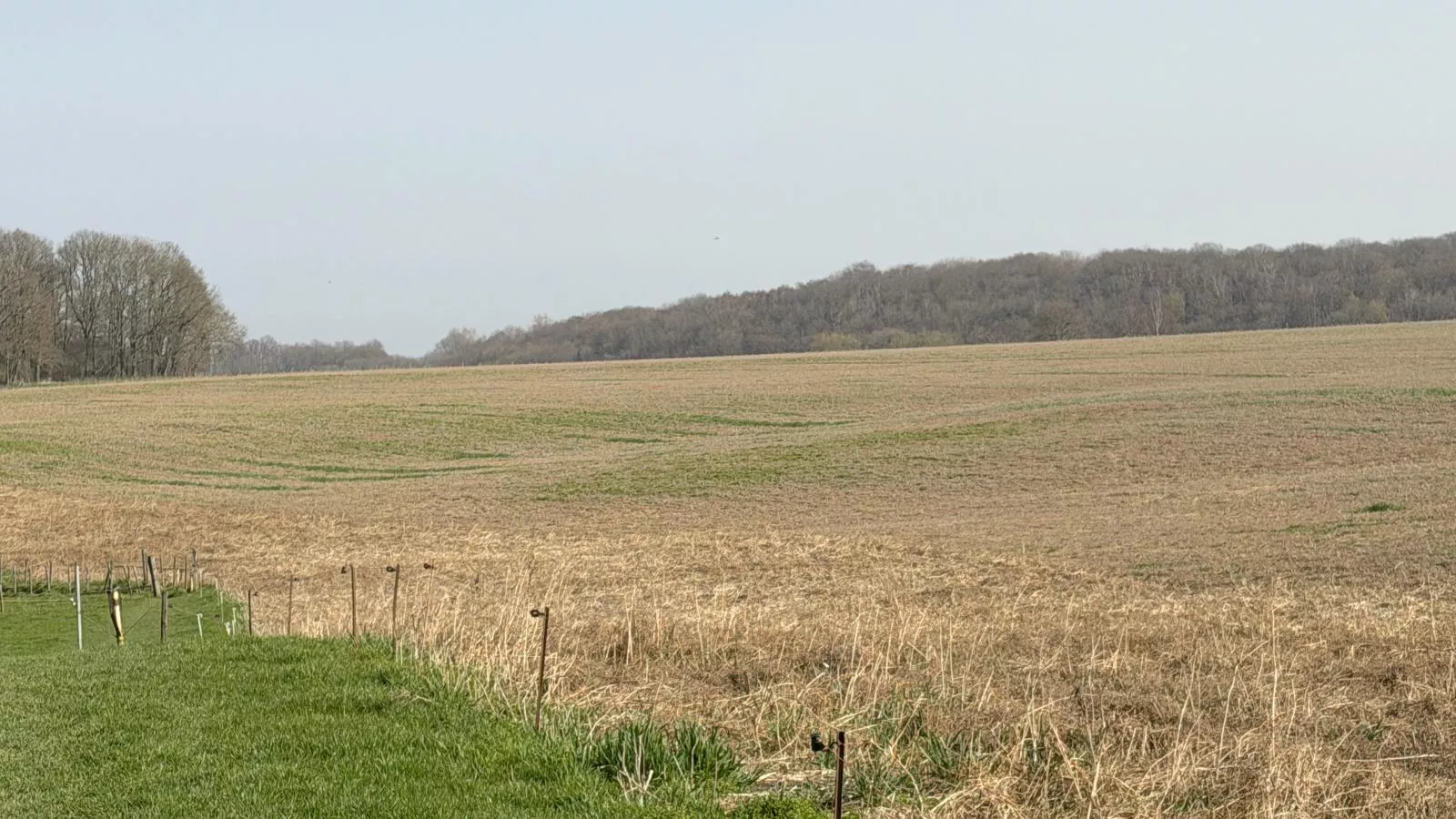 Logeren bij Laura - Uitzicht