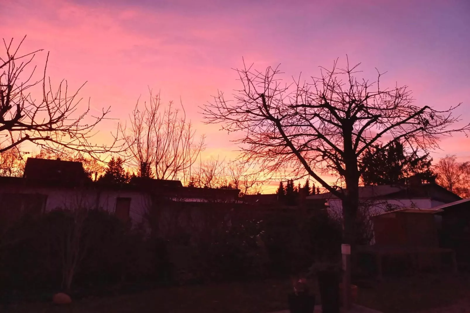 Fewo Amber 3 P - Buitenkant zomer