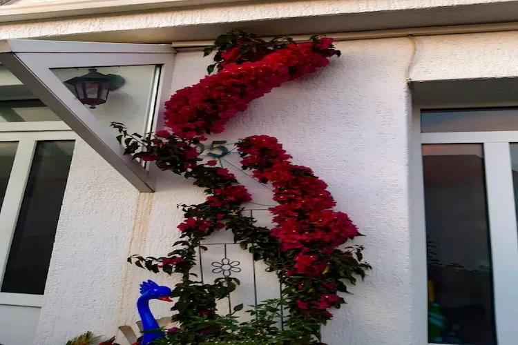 Apartments Snjezana - Two Bedroom Apartment with Balcony and Sea View A2 - Buitenlucht