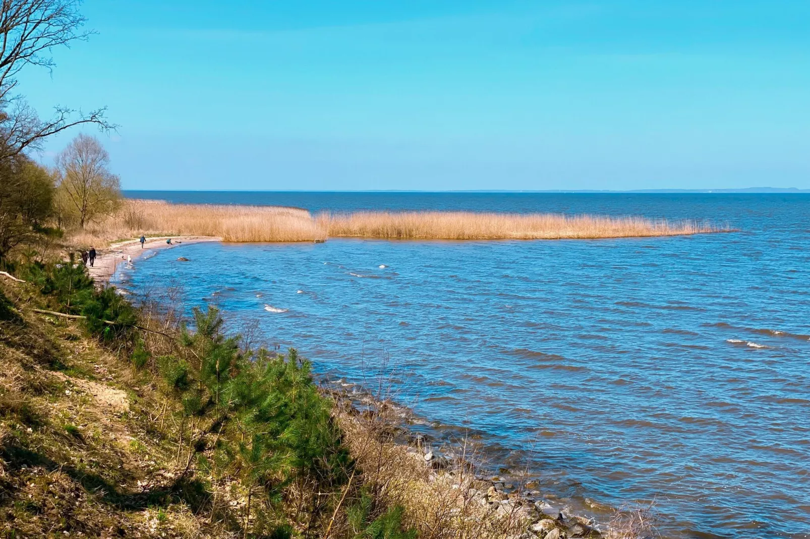 Ferienhaus Seefalke für 10 Personen in Nowe Warpno-Gebieden zomer 1km