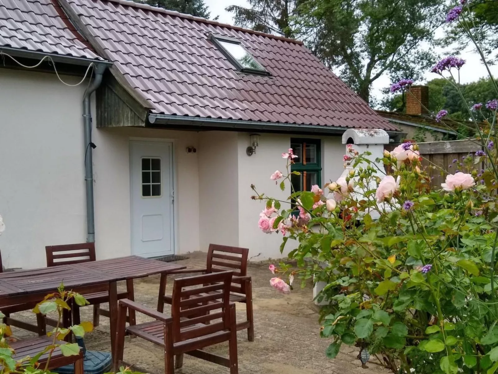 Kleine Ferienwohnung in Groß Mohrdorf mit Terras