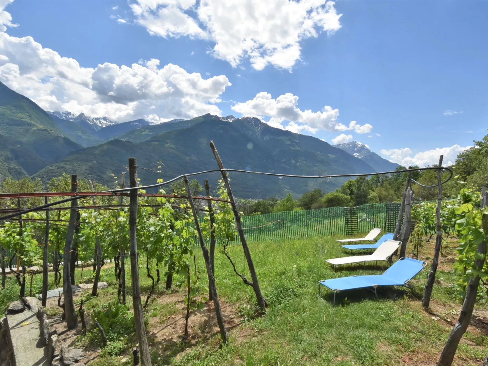 Rustico Rebustella - Buiten
