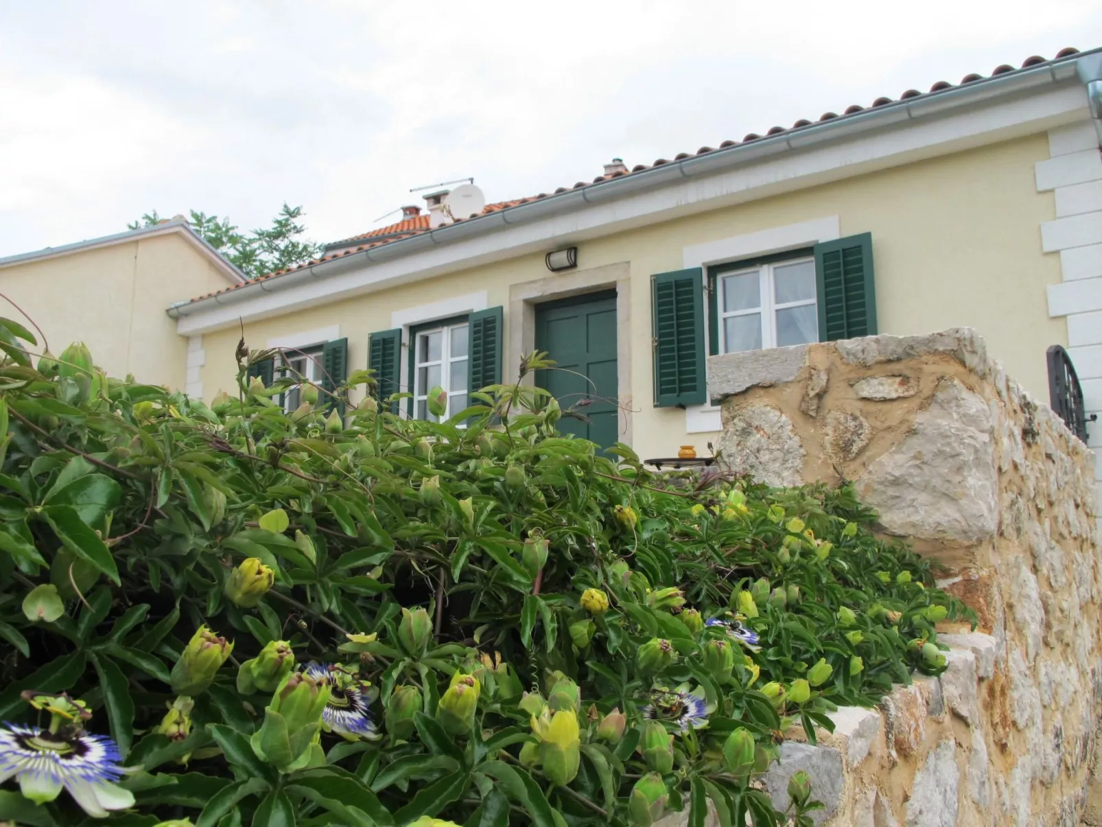 CASA ARTIS - Image-tags.info