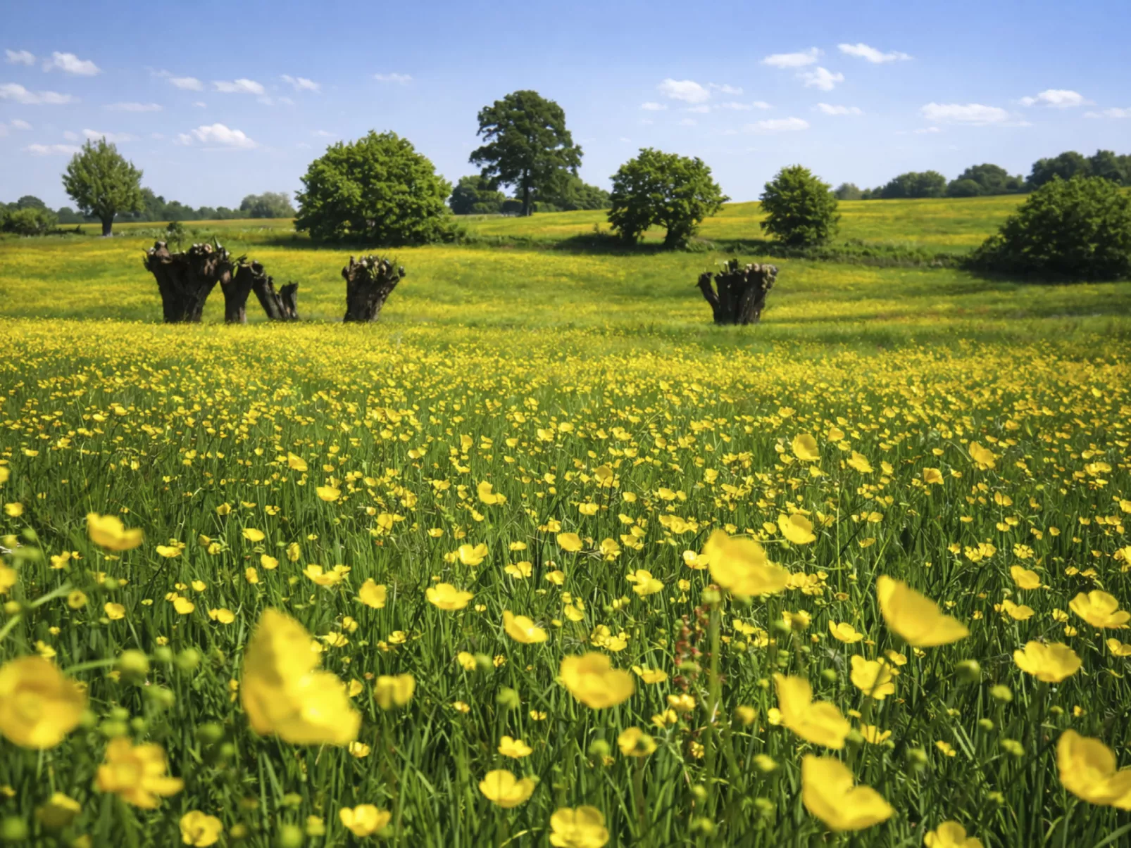 Bungalowpark Landsrade - Buiten