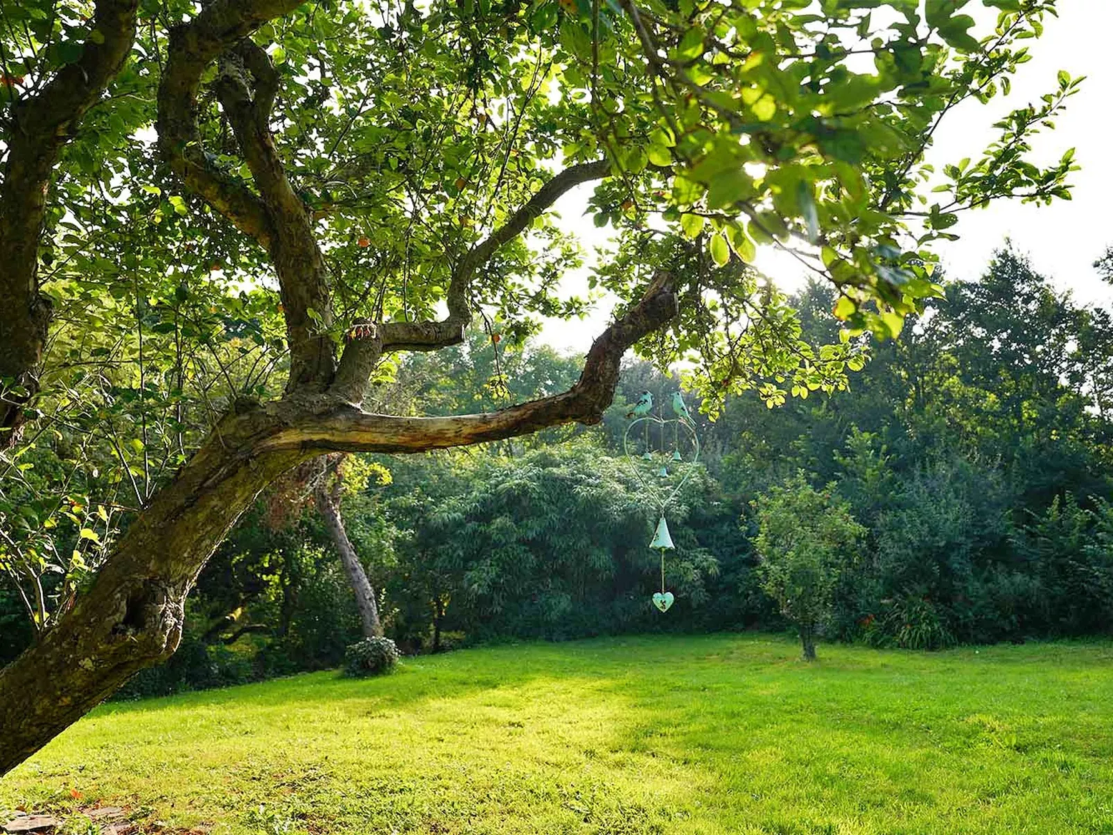 Porthcothan Mill Cottage - Buiten