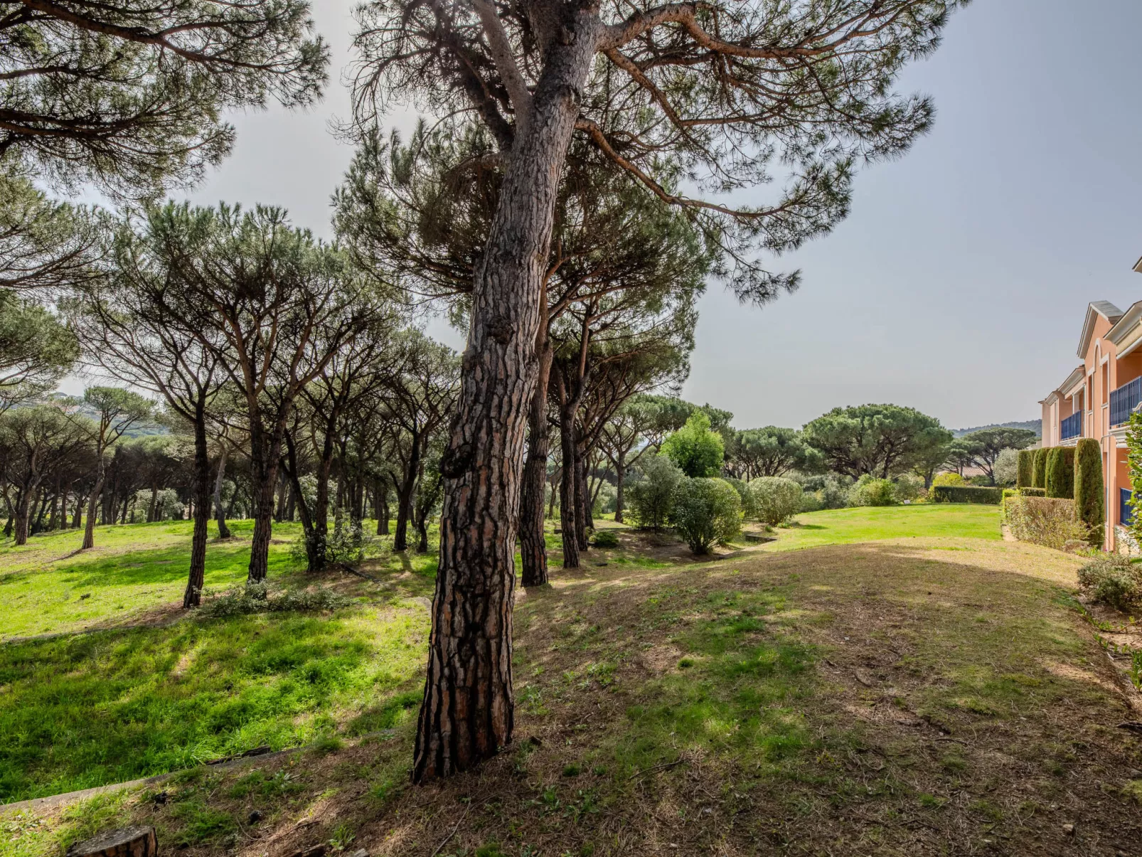 Les Pins Bleus - Buiten