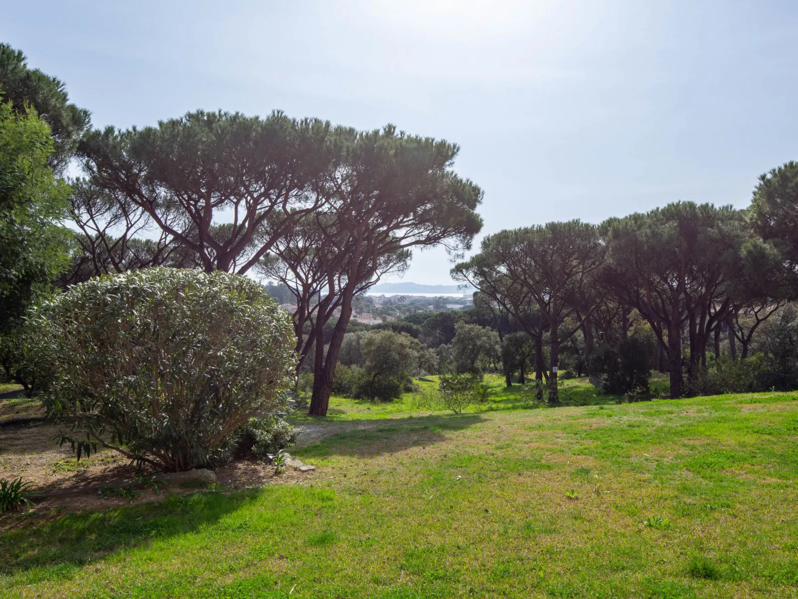 Les Pins Bleus - Buiten