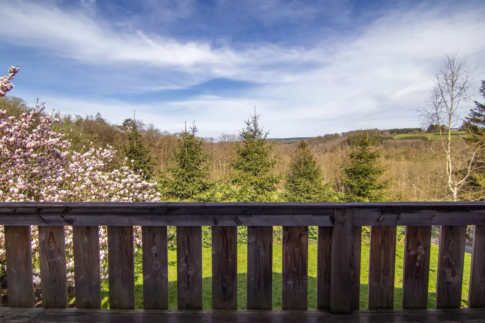 De Eekhoorn - Uitzicht zomer