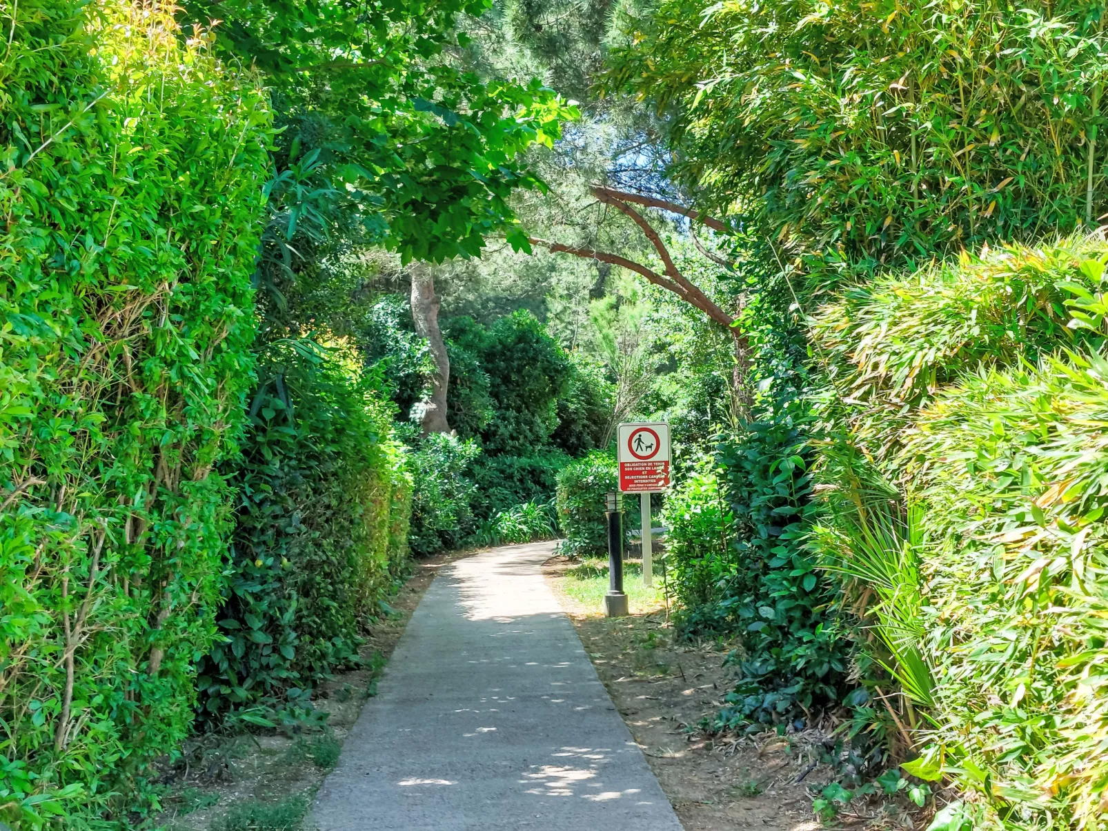 Le Luberon Loisirs - Buiten