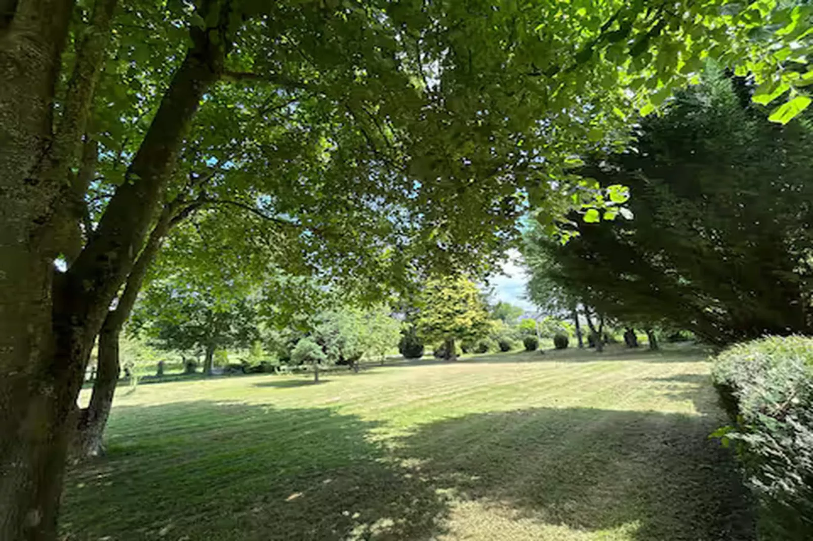 L'amann  Chambre d'hôte et Jacuzzi - Tuinen zomer
