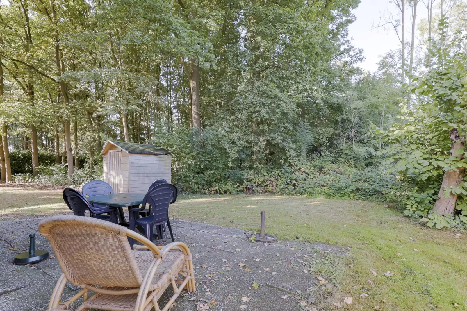 7 - Persoons Forest 217 Sauna Bungalow (copy) (copy) - Terrasbalkon