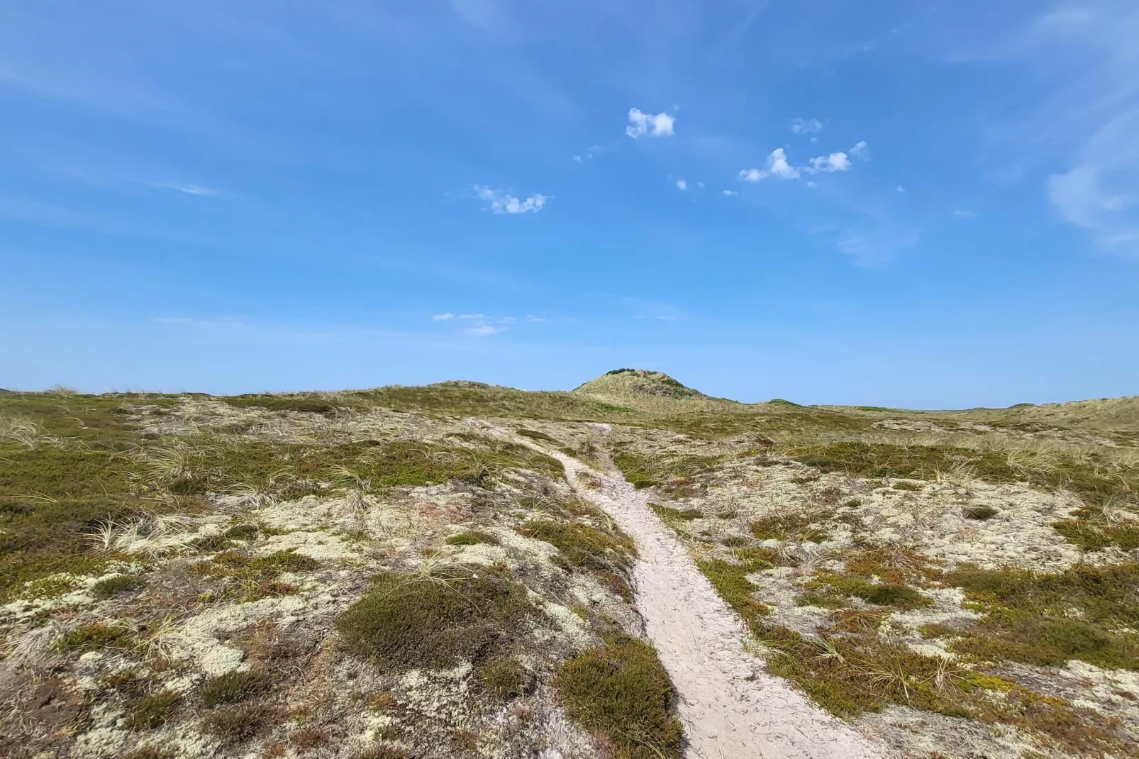 4 persoons vakantie huis in Thisted-By Traum - Niet-getagd