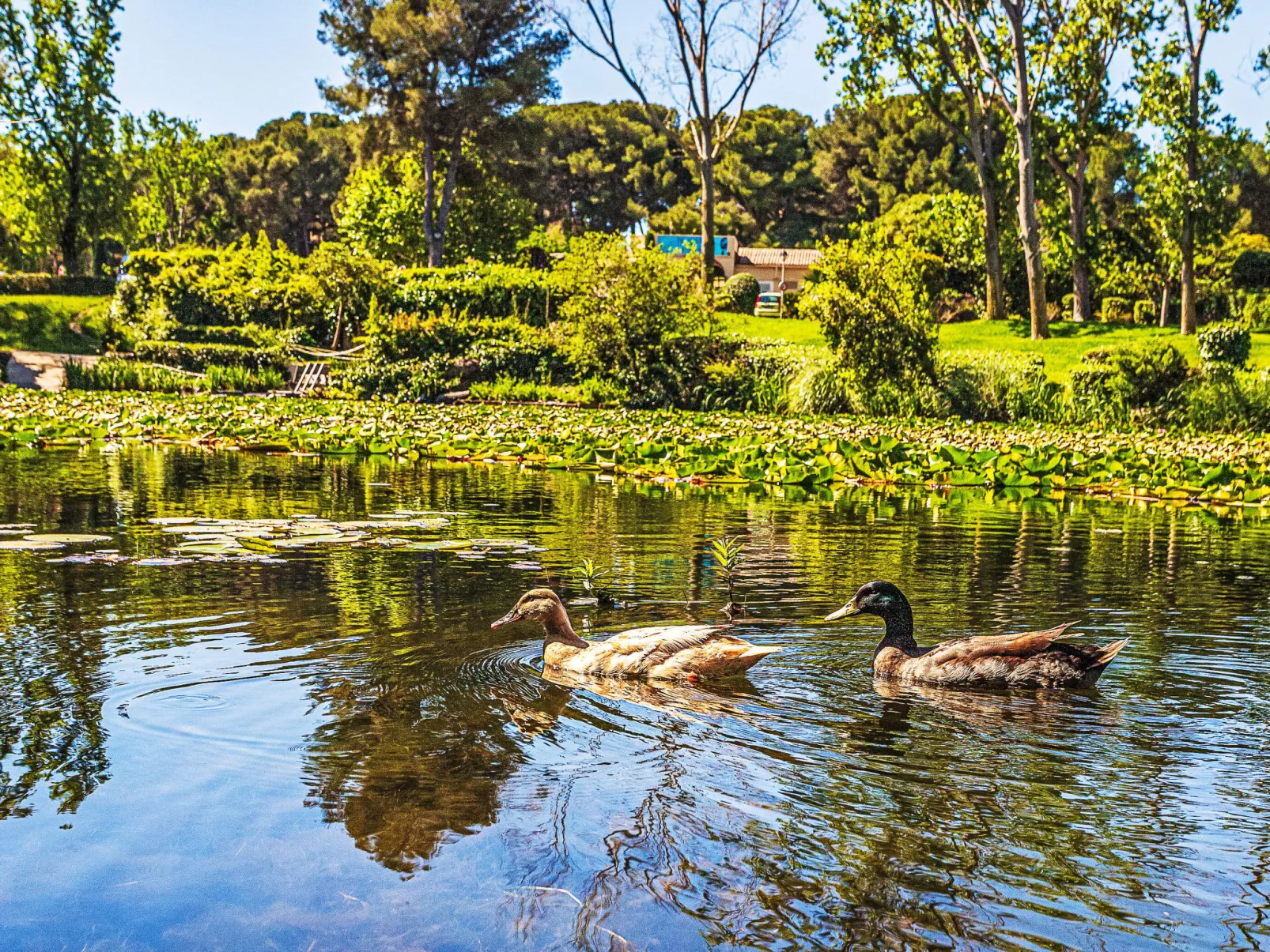 Le Luberon Loisirs - Buiten