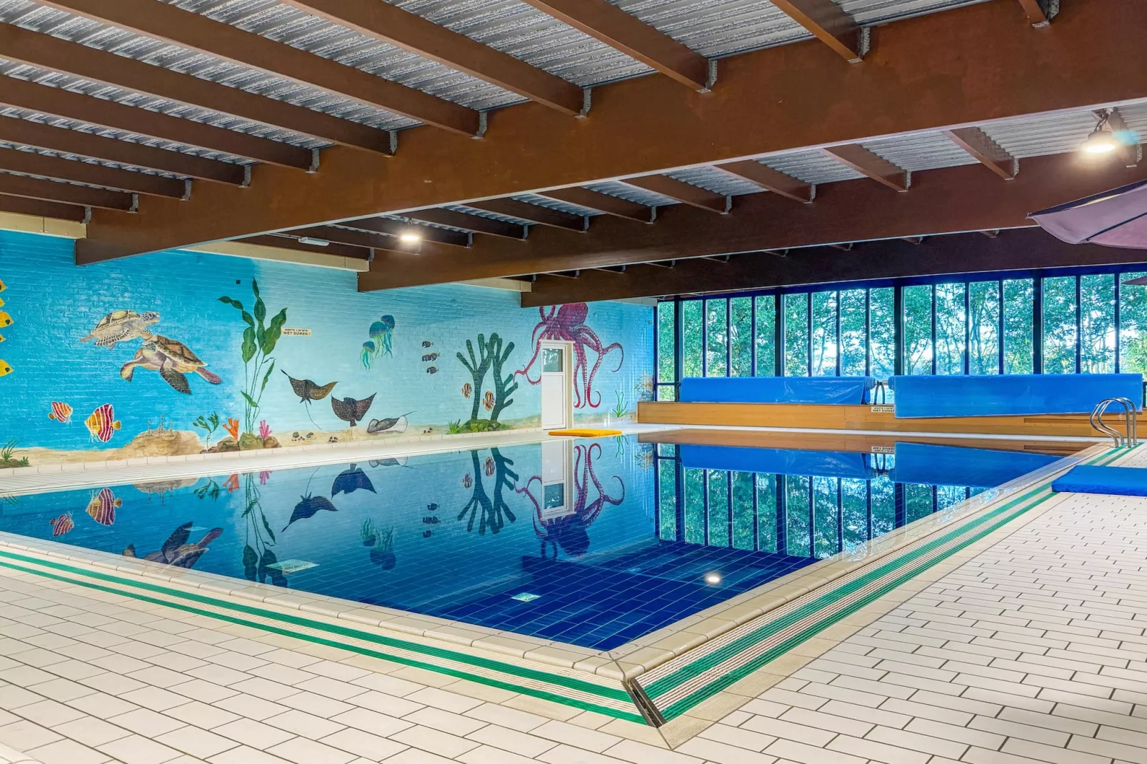 7 - Persoons Forest 217 Sauna Bungalow (copy) (copy) (copy) - Zwembad