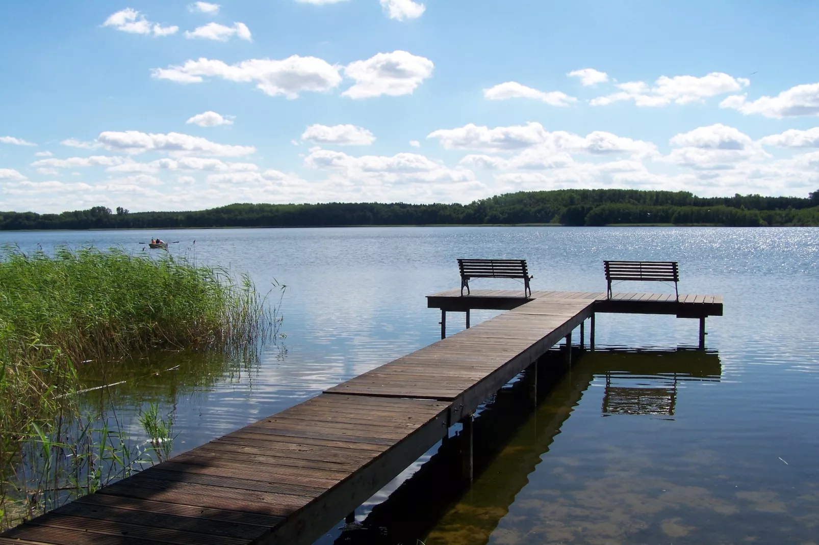 Fewo 01 6 P OG - Gebieden zomer 1km