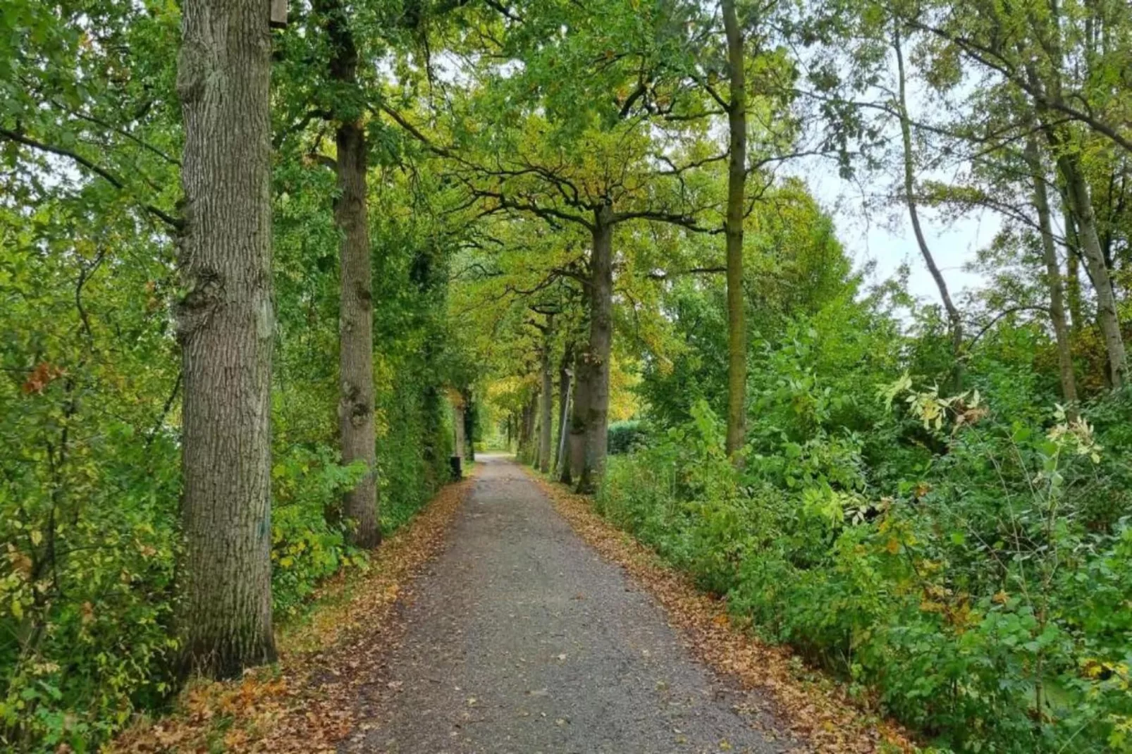 Vakantiepark 't Broeckhuys 7 - Gebieden zomer 20km