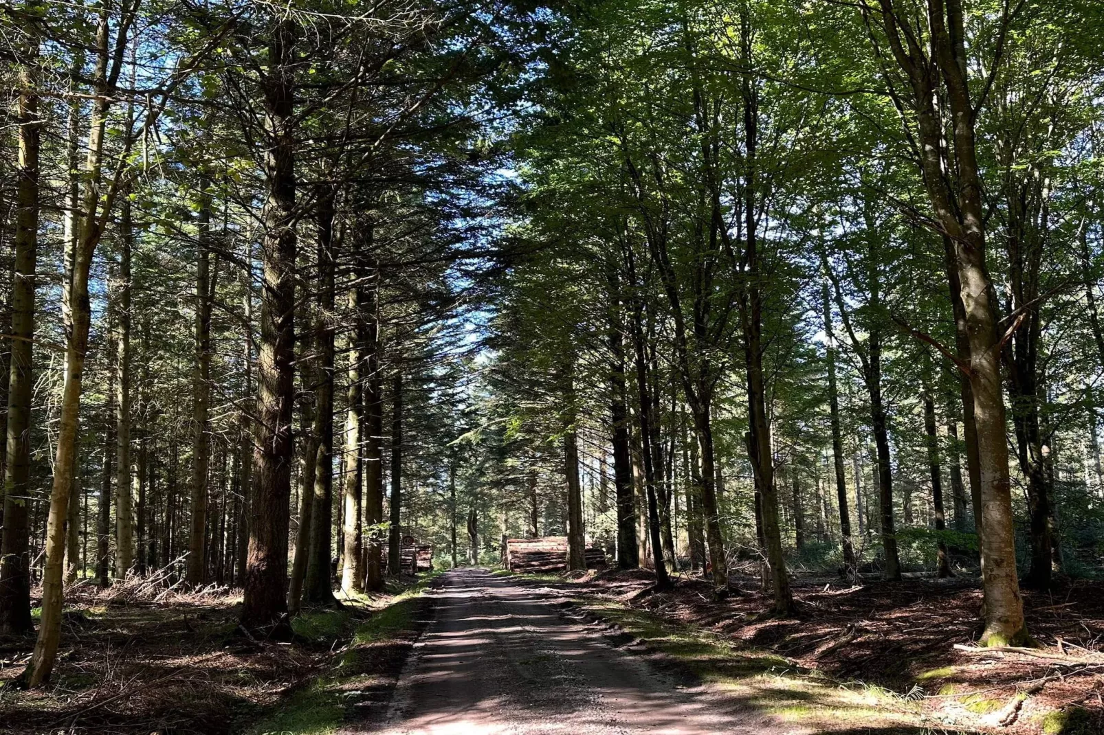 4 persoons vakantie huis in Thisted-By Traum - Niet-getagd