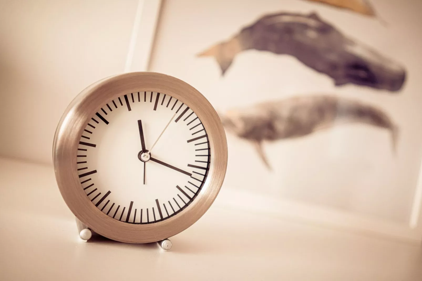 Ferienwohnung Feldlerche St Peter-Ording - Sfeer