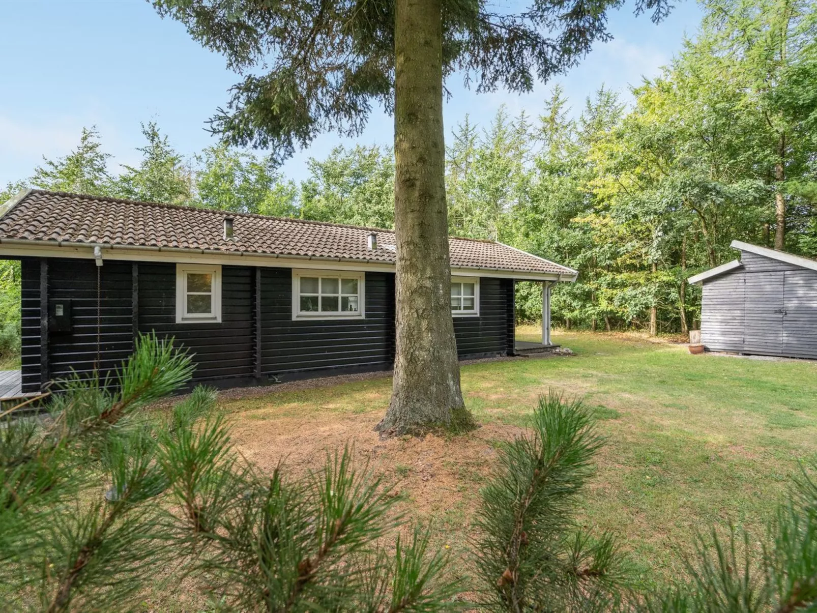 "Iulger" - 30km from the sea - Buiten