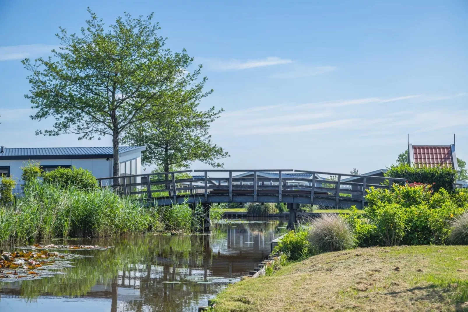 	De Rijp met Sauna  6 personen - Gebieden zomer 5km