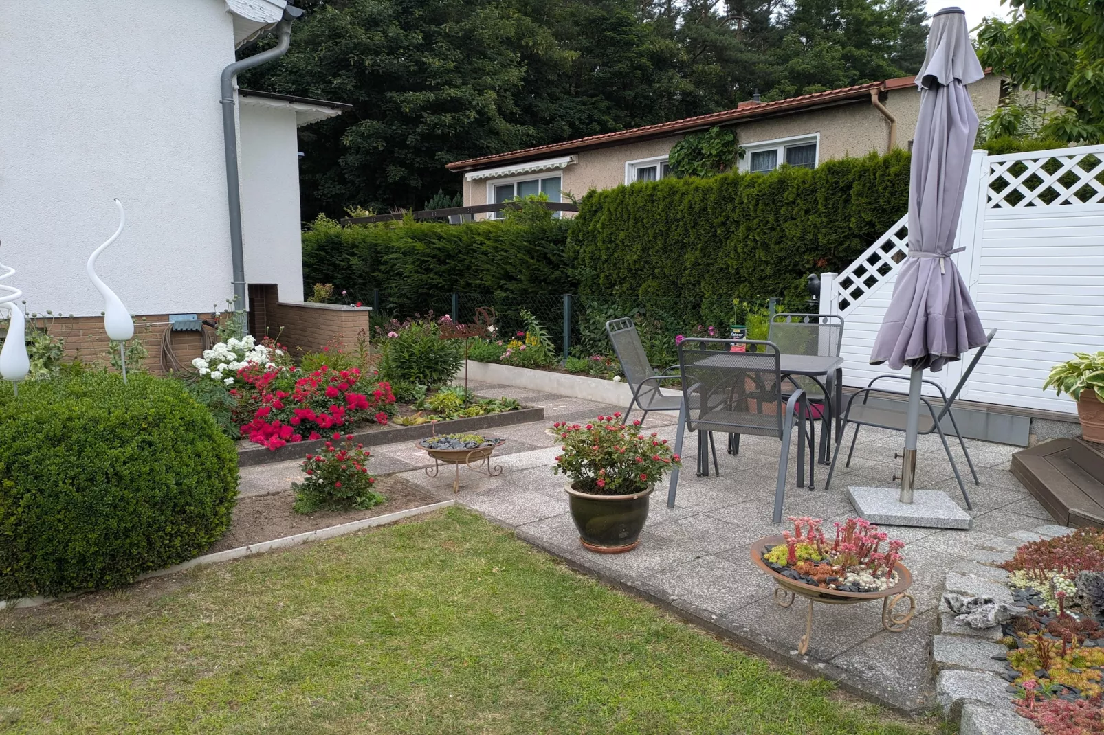 Sommerrose - Tuinen zomer