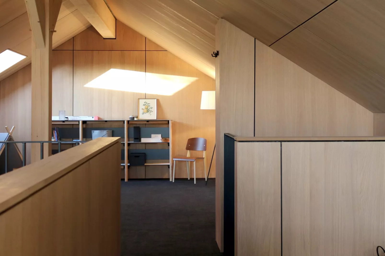 Arduenna Silva - Overloop