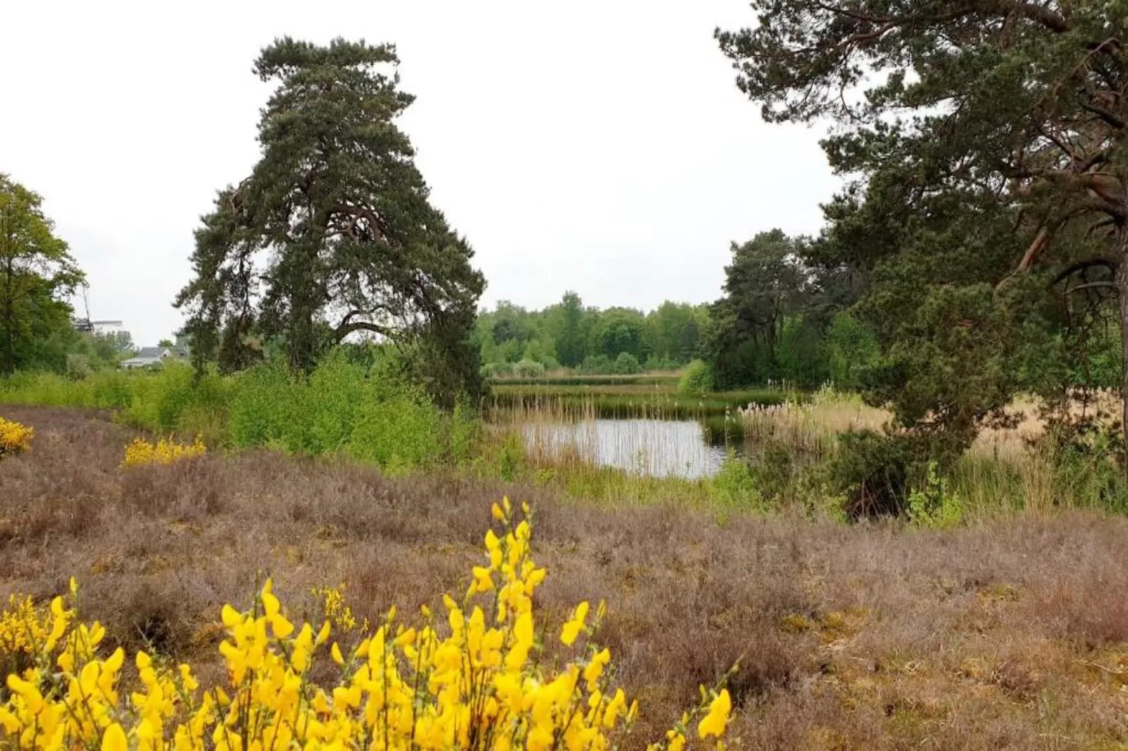 Vakantiepark 't Broeckhuys 7 - Gebieden zomer 20km
