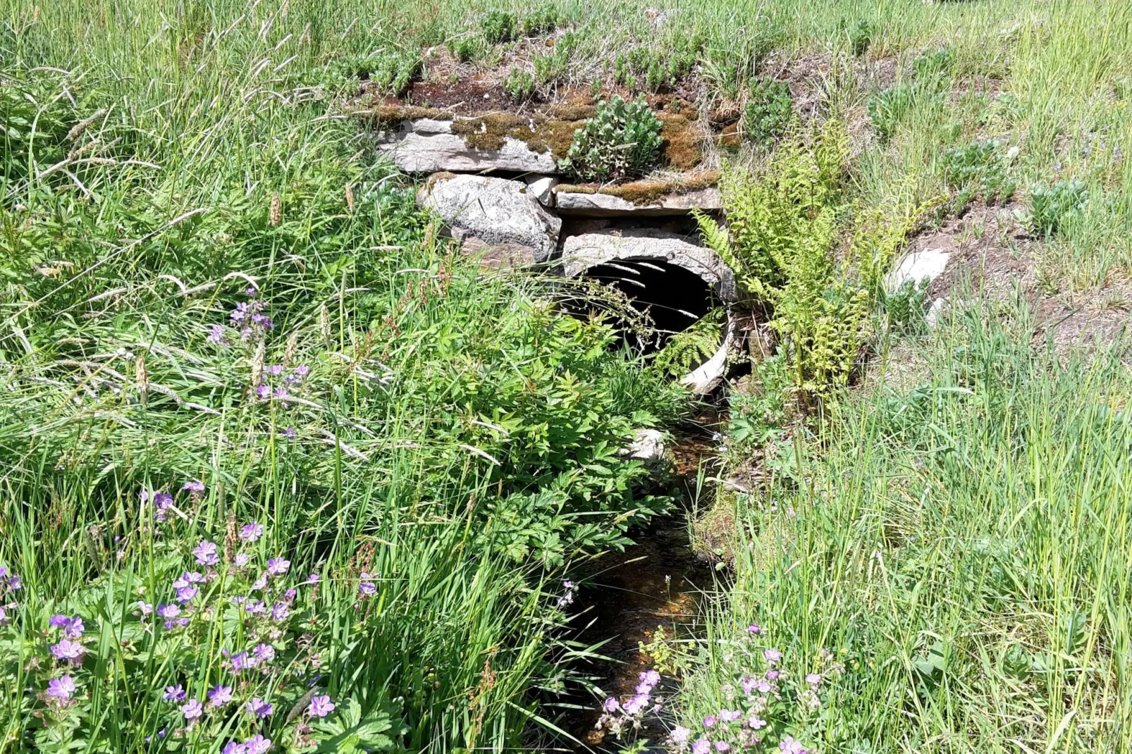 Zuckerbauernhof Weideblick - Tuinen zomer
