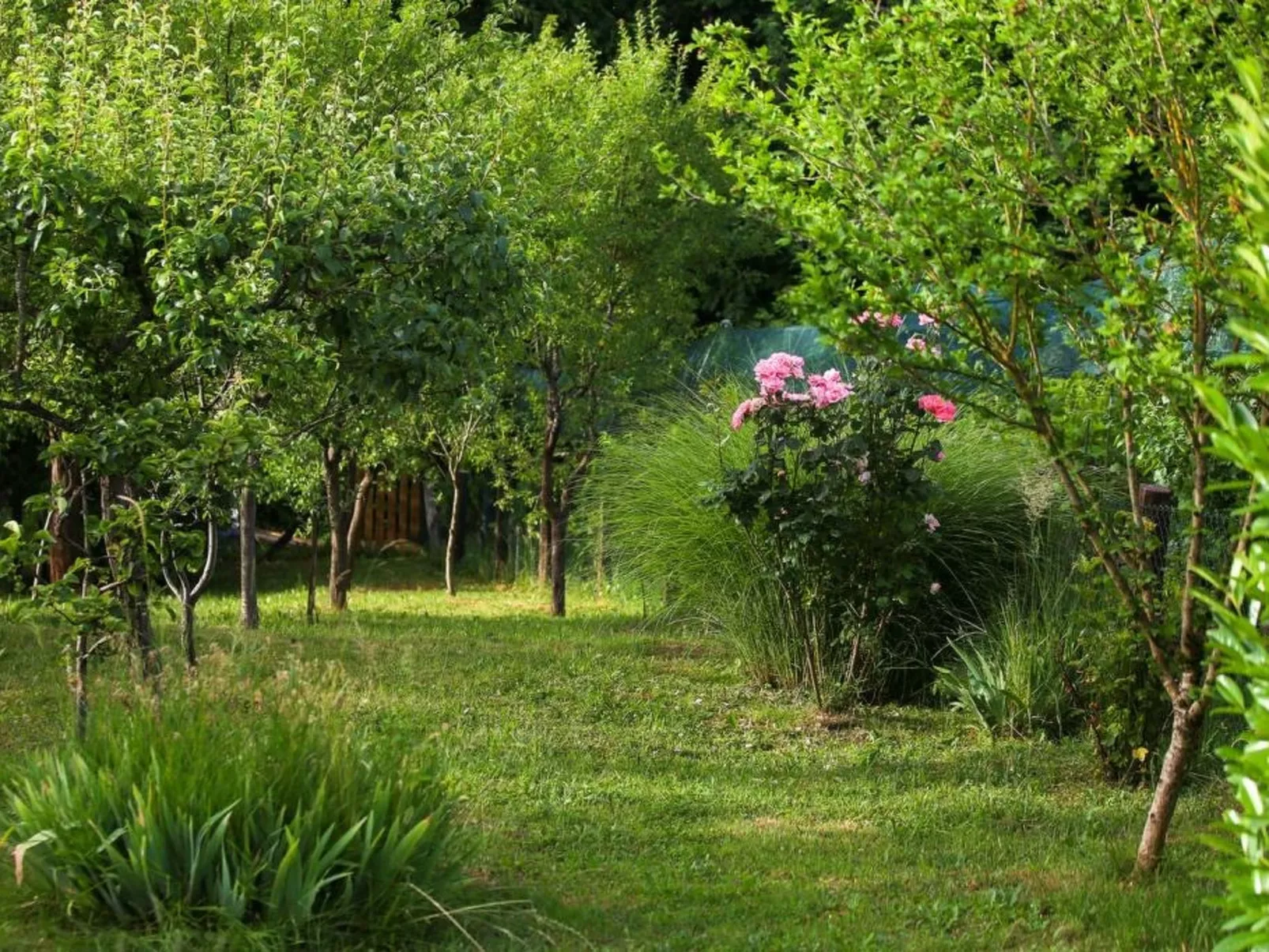 House Villavera - Buiten