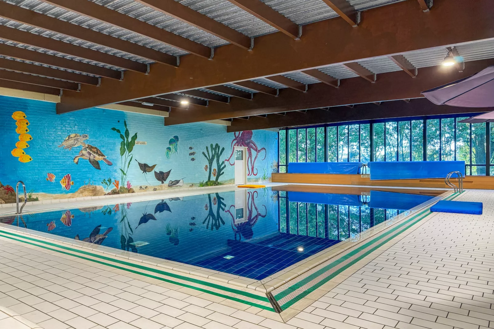 7 - Persoons Forest 217 Sauna Bungalow (copy) (copy) (copy) - Zwembad