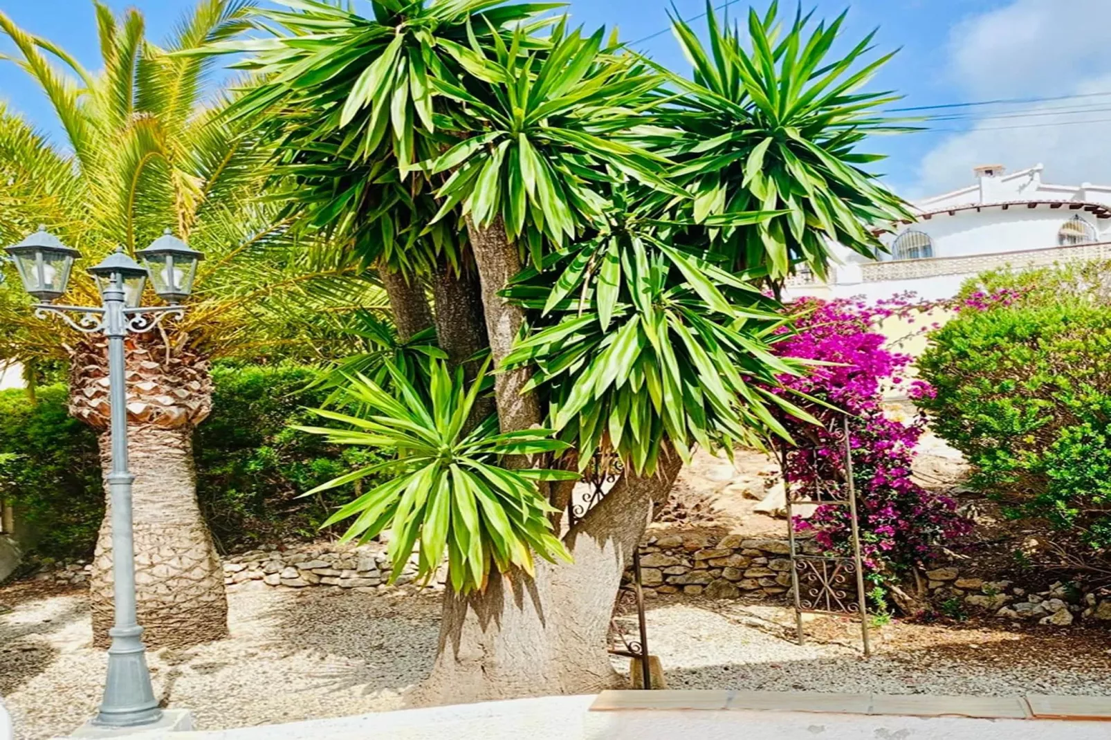 Casa Alegria - Tuinen zomer