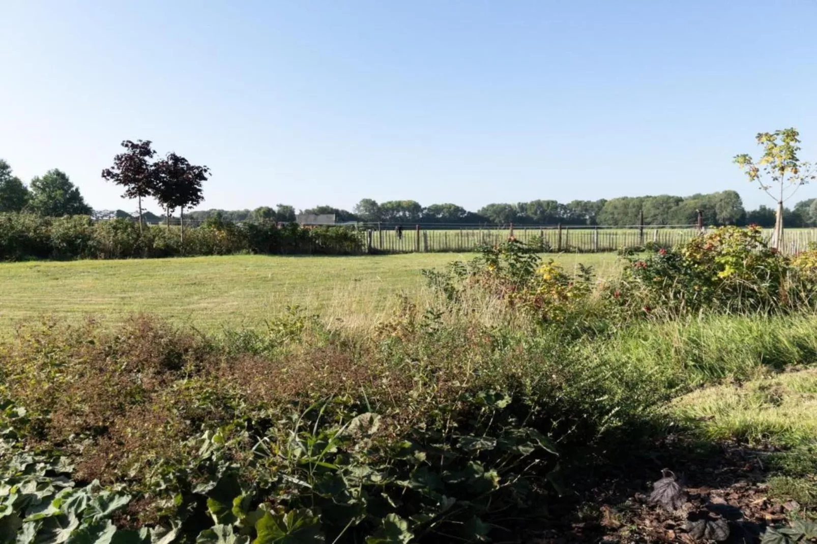 Vakantiepark 't Broeckhuys 7 - Gebieden zomer 20km