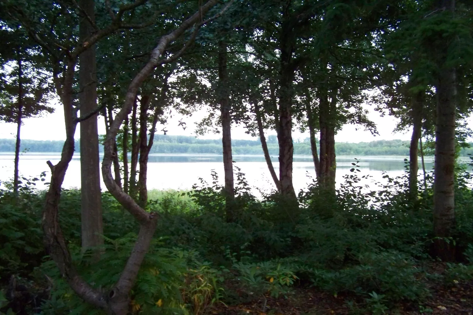 Fewo U01 7 P EG - Gebieden zomer 1km