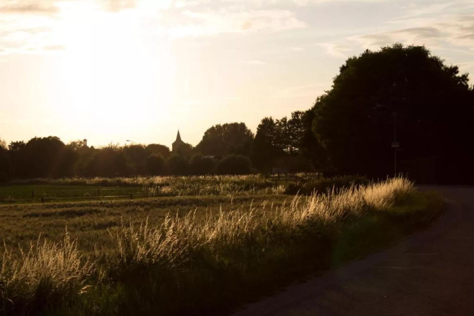 Vakantiepark 't Broeckhuys 6 - Gebieden zomer 20km