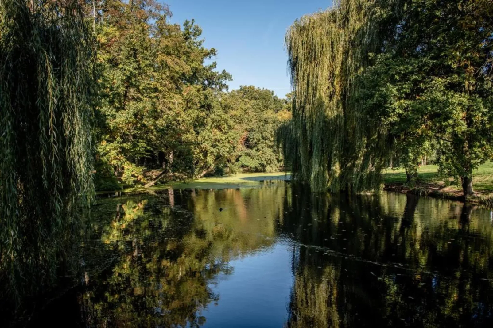 Vakantiepark 't Broeckhuys 7 - Gebieden zomer 20km