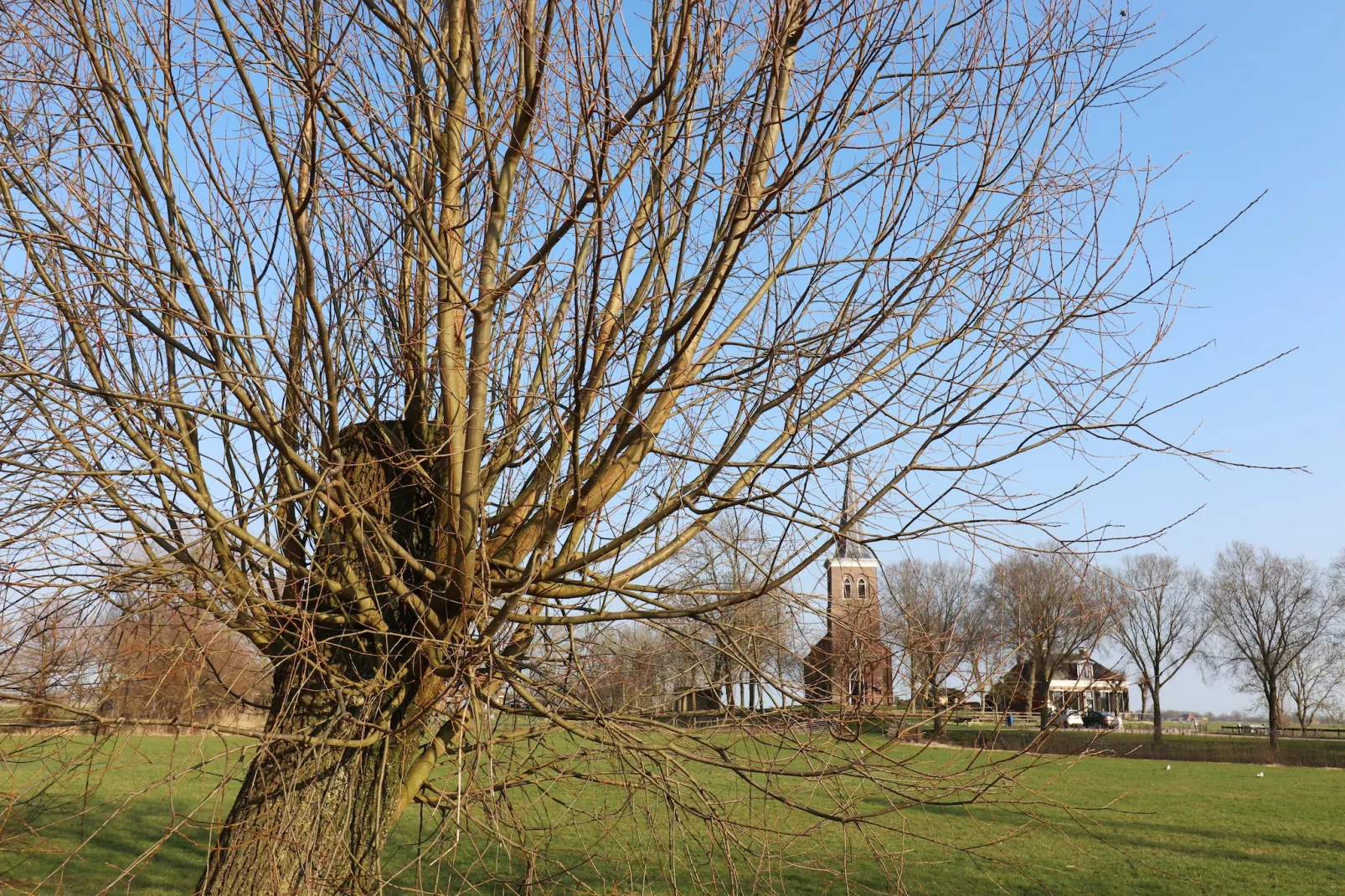 Moderne villa op het Friese platteland - Gebieden zomer 1km