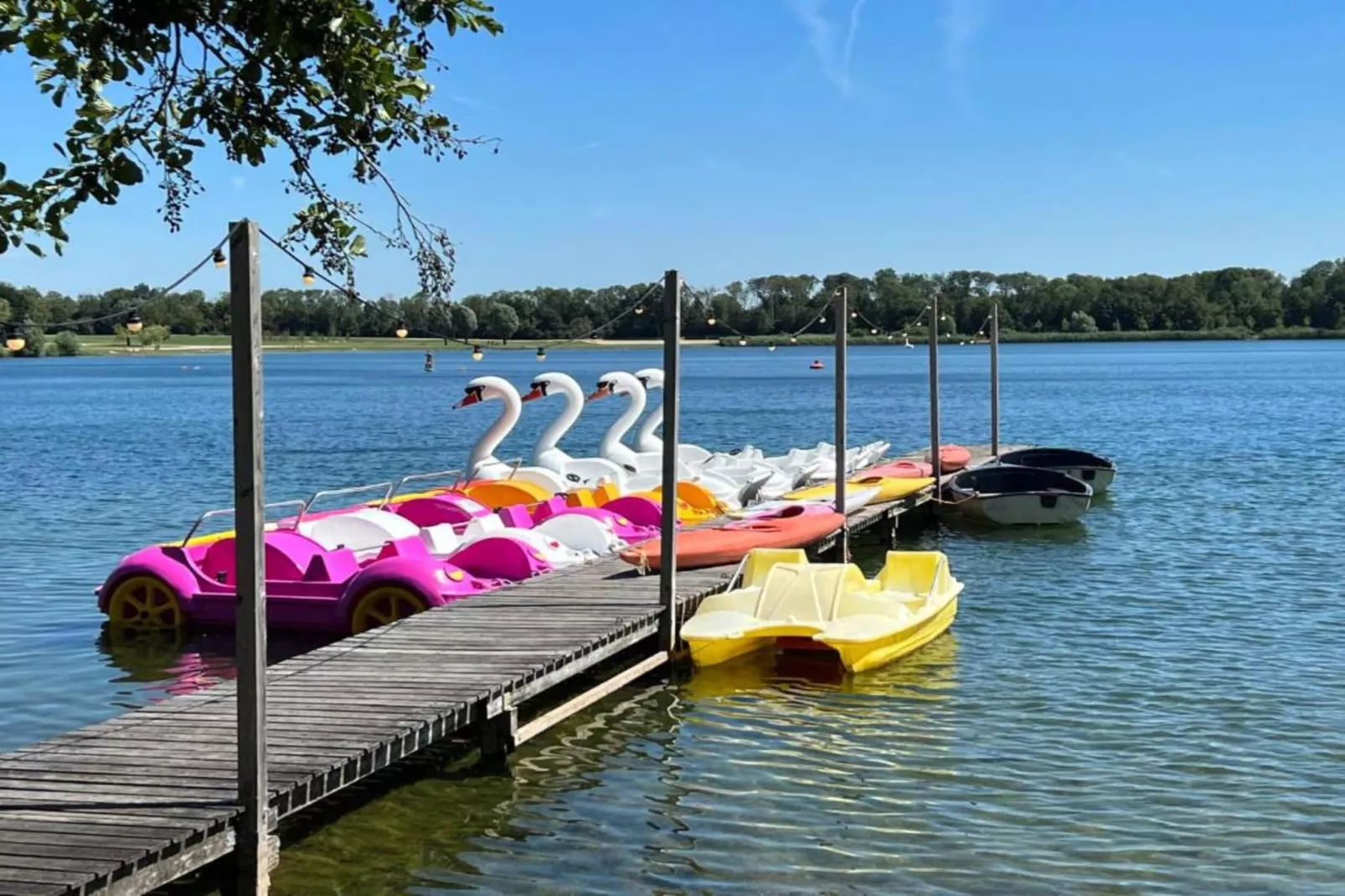 Vakantiepark 't Broeckhuys 7 - Gebieden zomer 20km