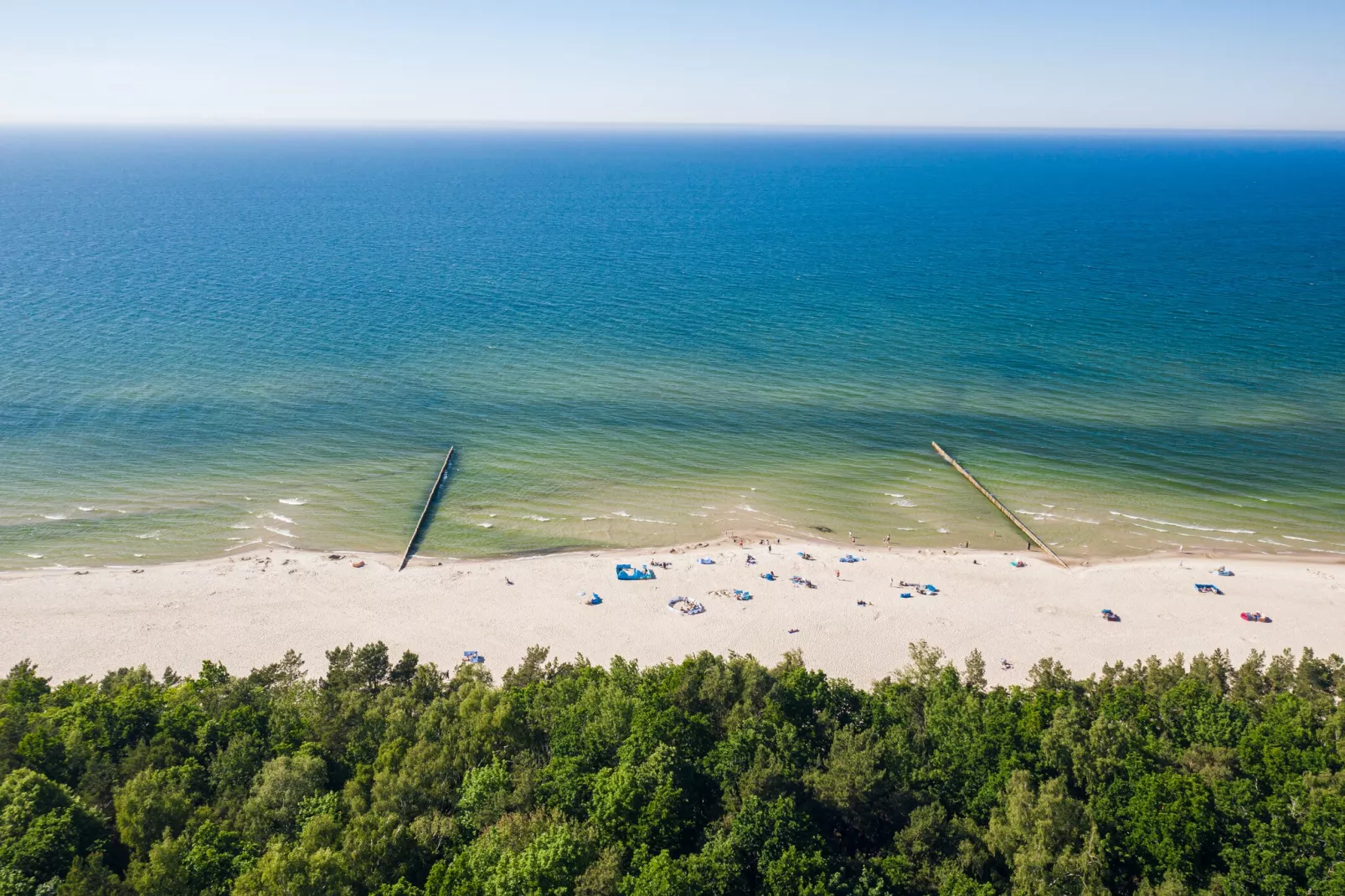 Jedynka żółta wejście od ulicy - Gebieden zomer 1km