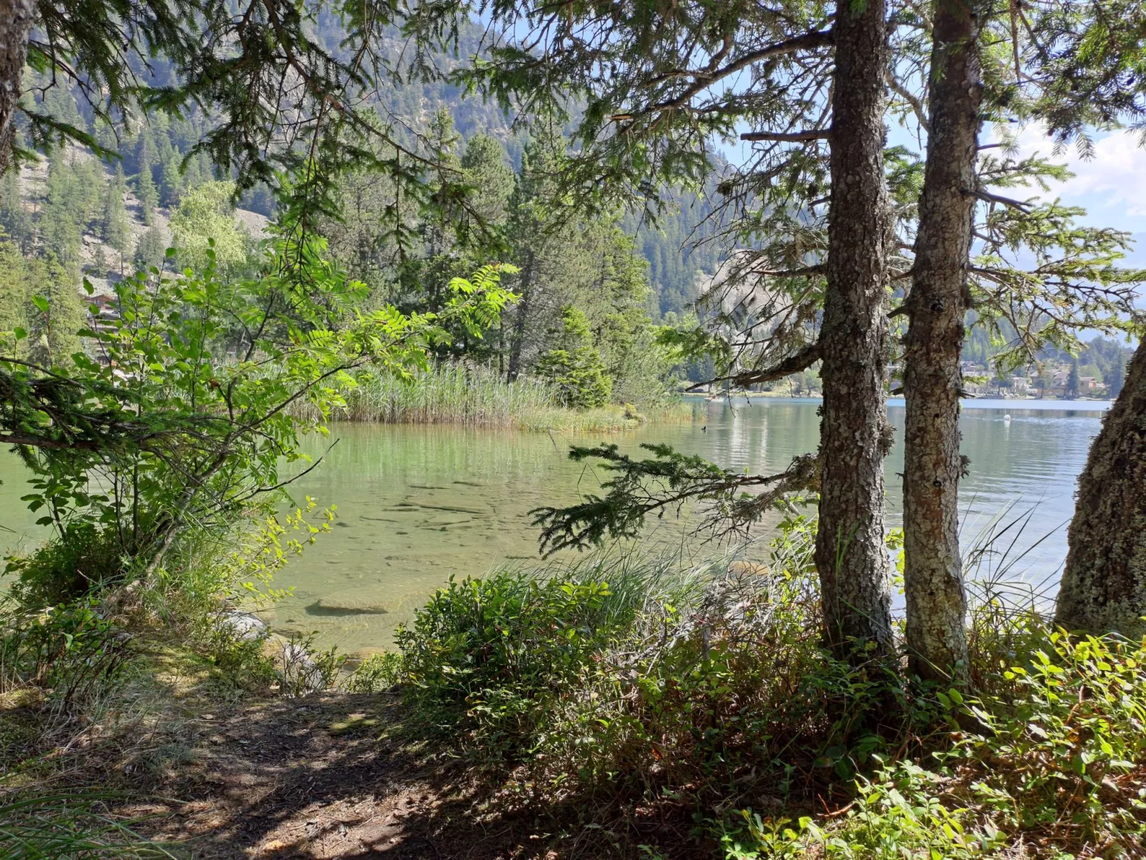 Arolla R01 - Omgeving