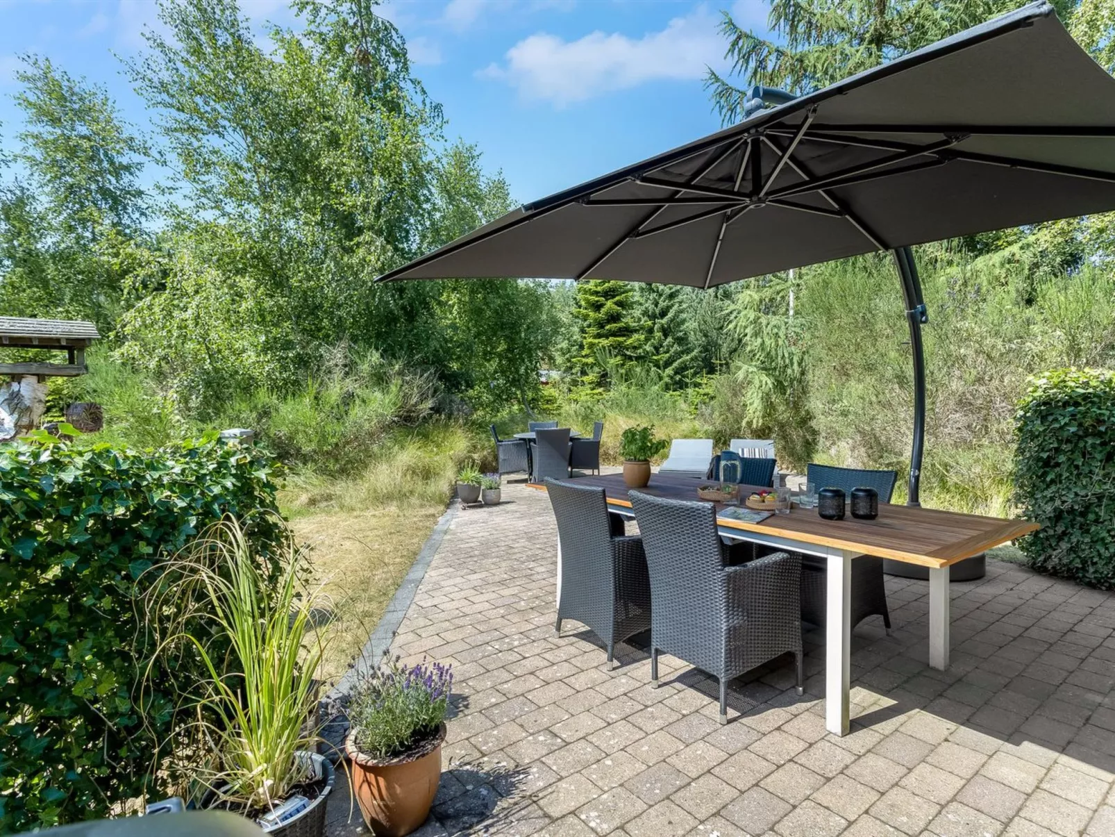 "Albertina" - 900m from the sea