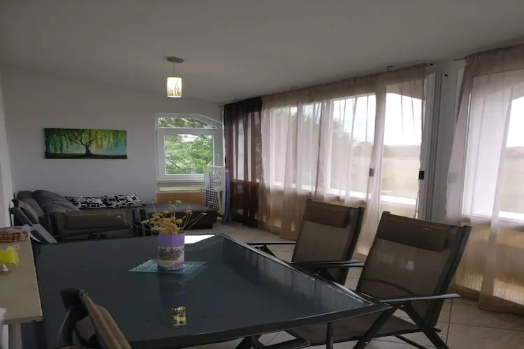 Apartments Topić - One Bedroom Apartment with Terrace (First Floor) - Woonkamer