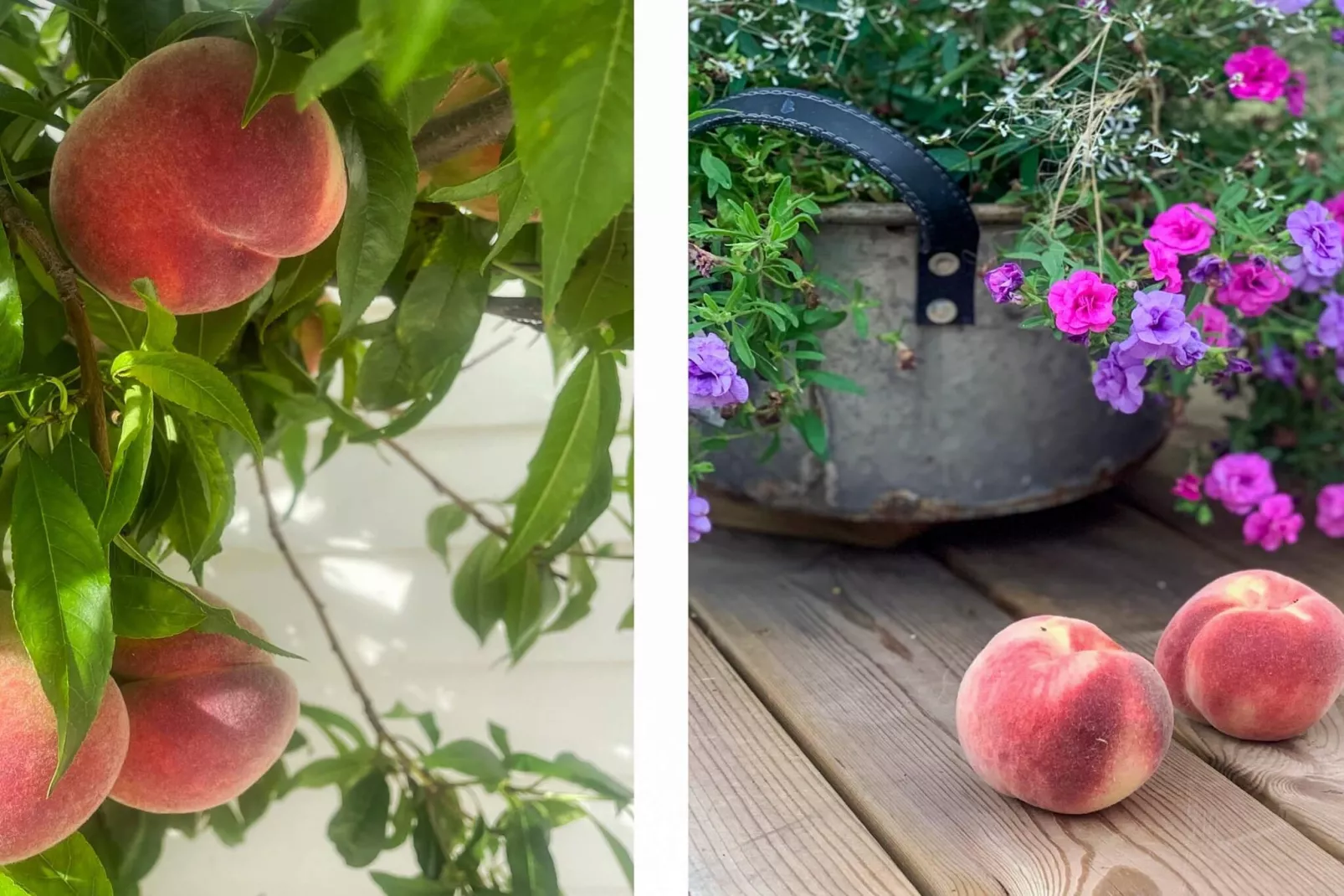 4 sterren vakantie huis in FÄRJESTADEN - Buitenlucht