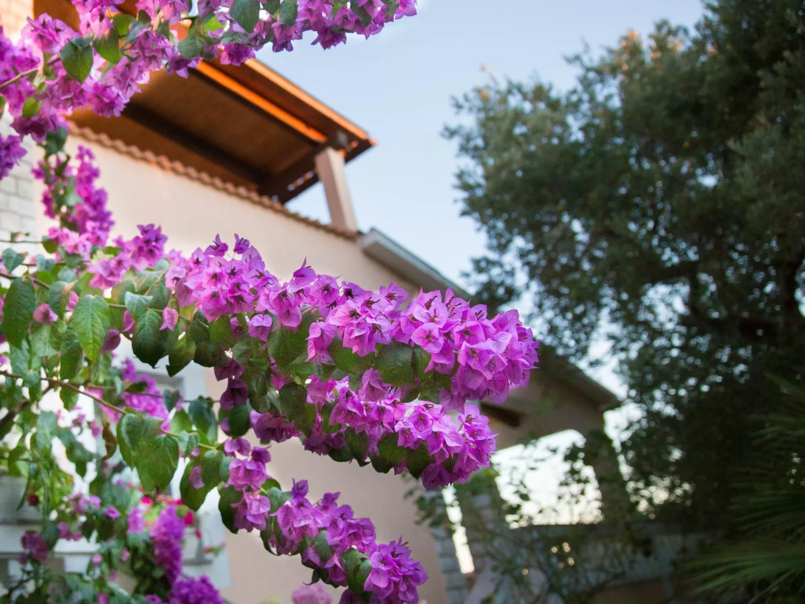 Mit Terrasse - Image-tags.info