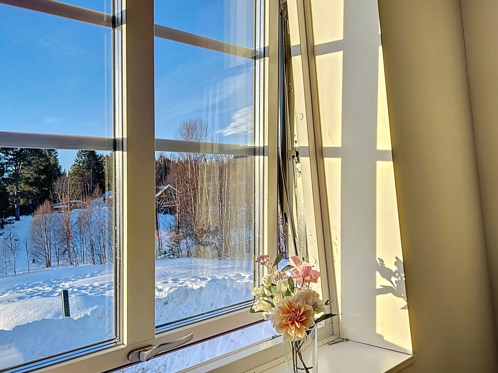 Svanhågna Gård - Binnen