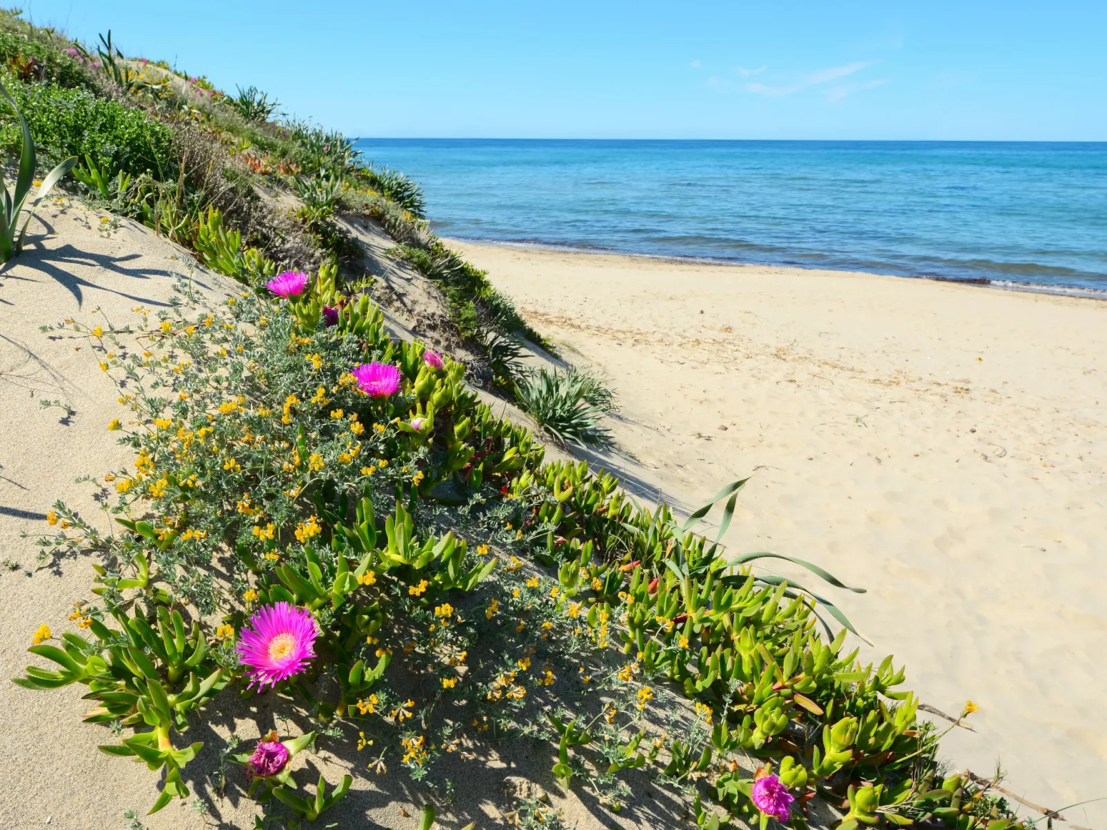 Bella Italia Sardinia - Omgeving
