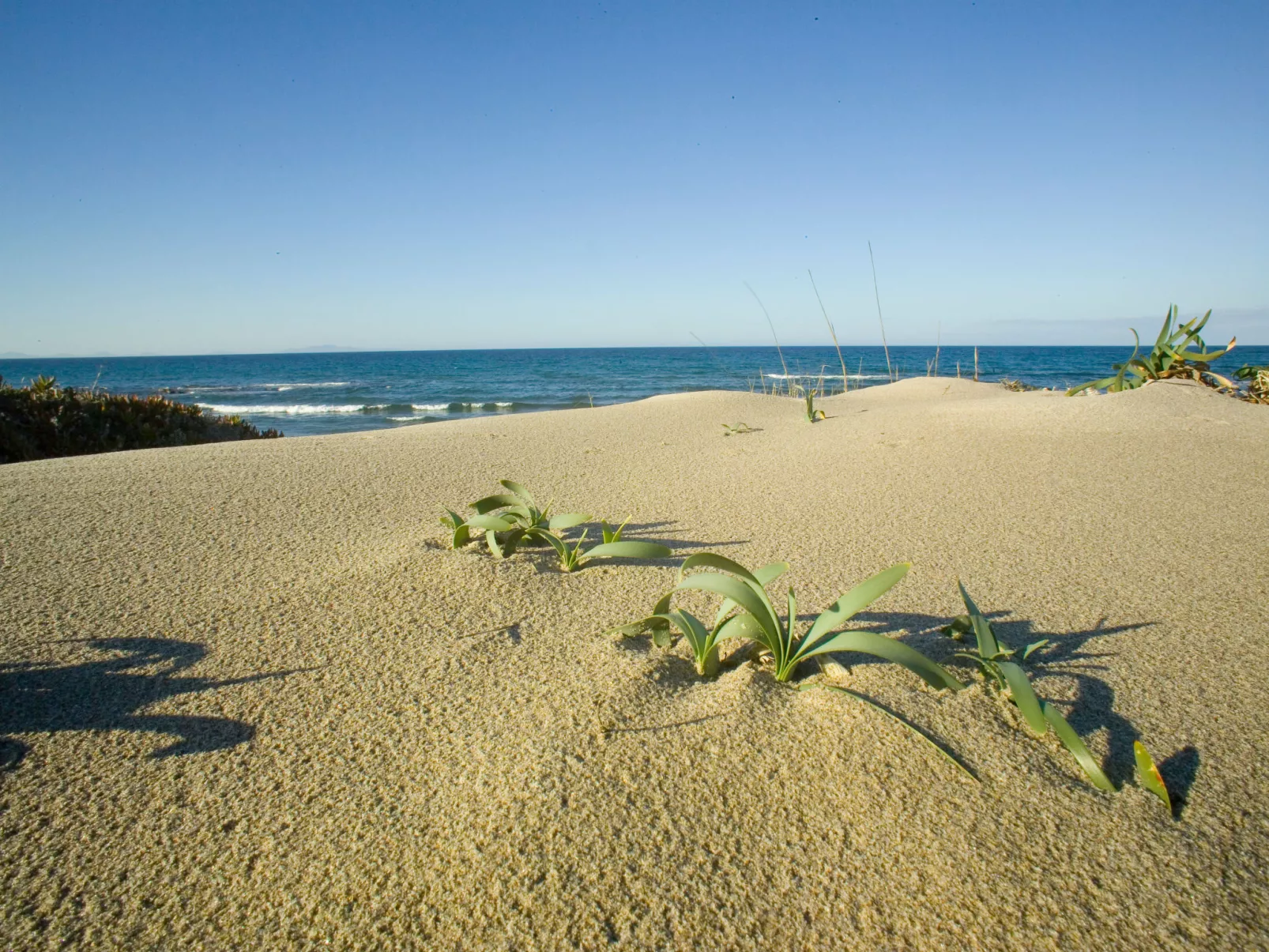 Bella Italia Sardinia - Omgeving