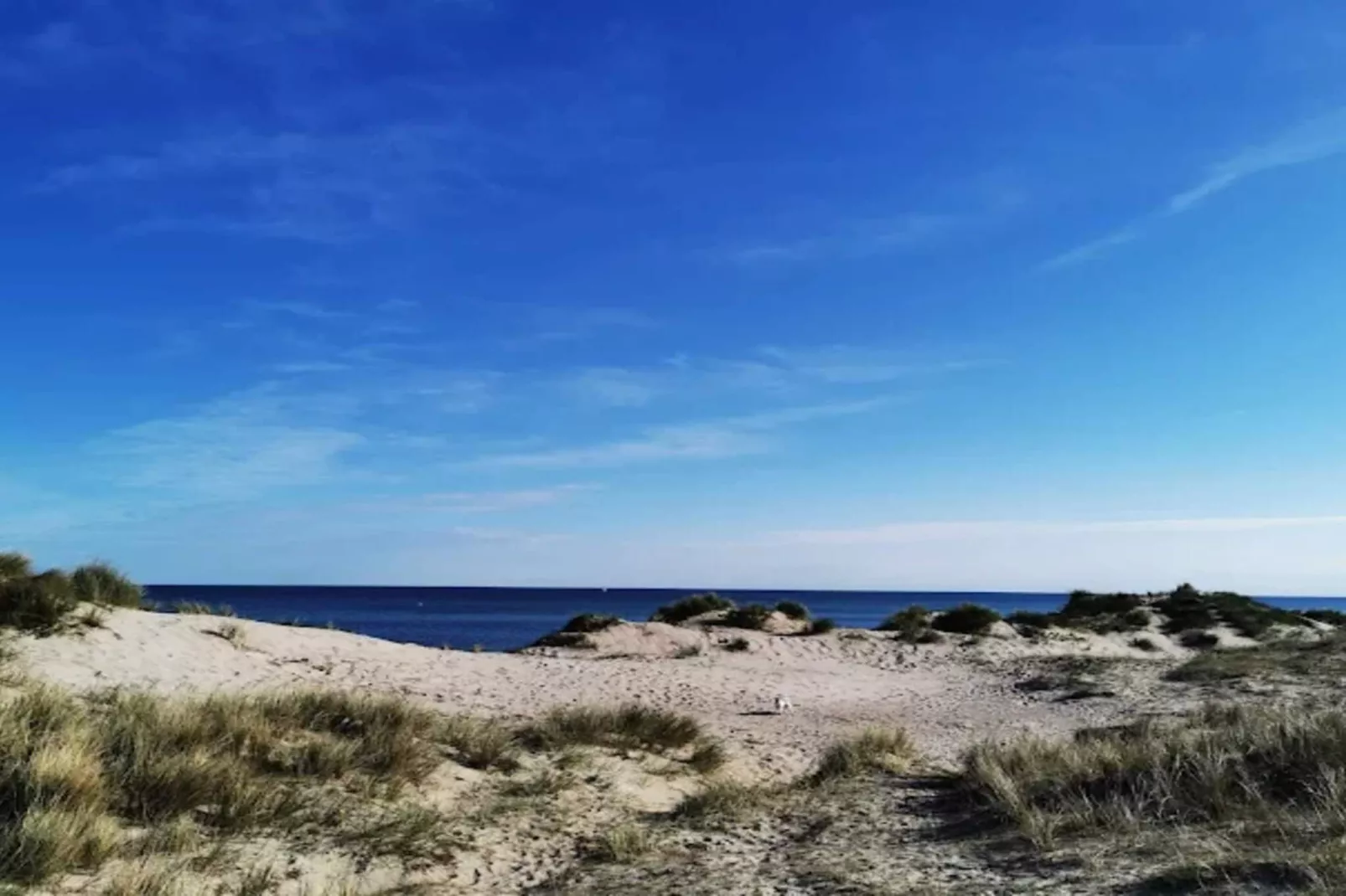 8 persoons vakantie huis in Melby - Waterzicht