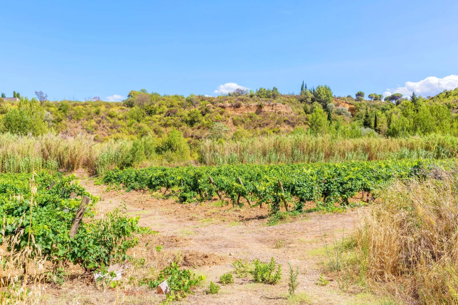 Villa avec piscine - Gebieden zomer 5km